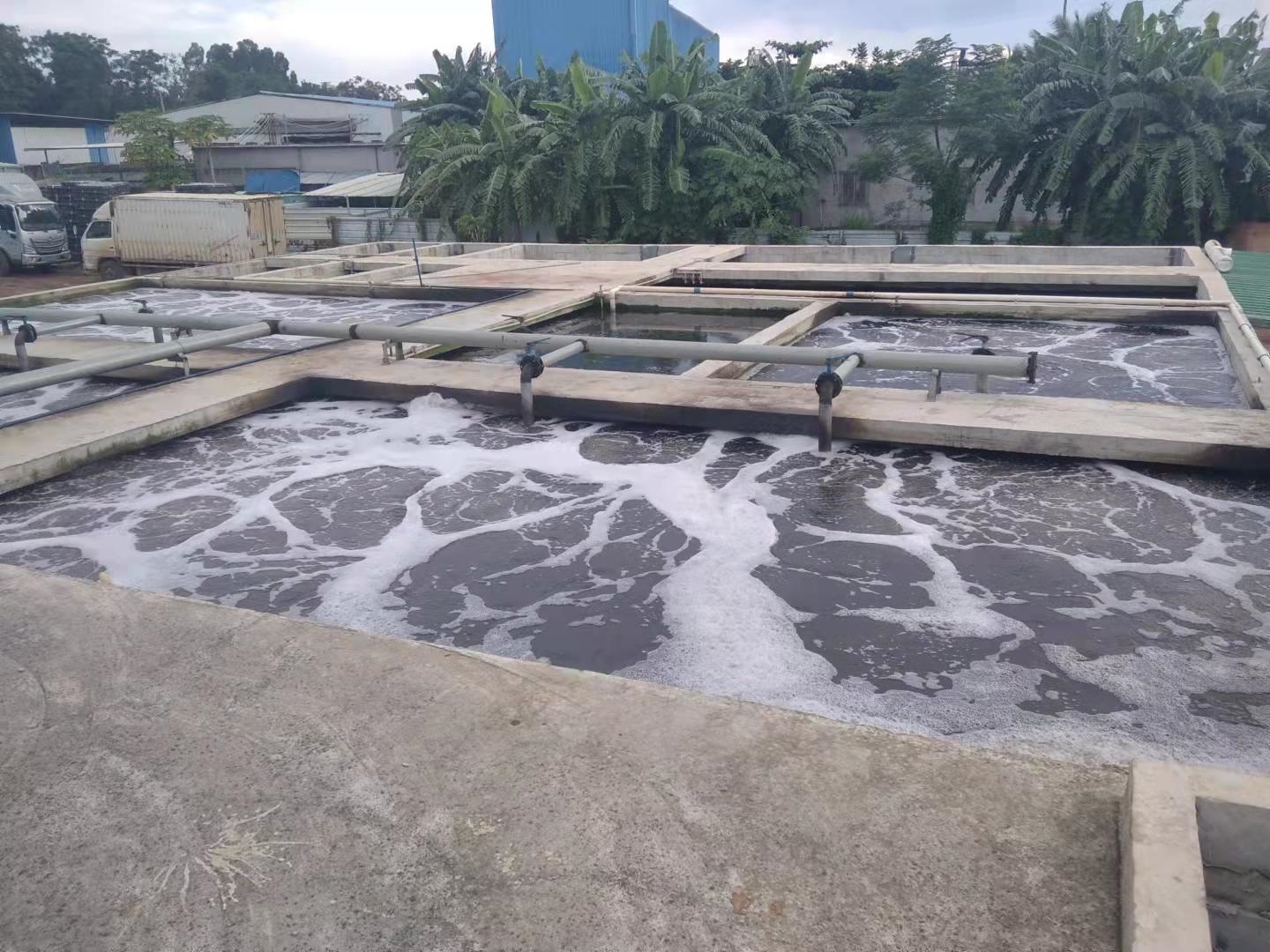 亚洲精品国偷拍自产在线观看蜜臀